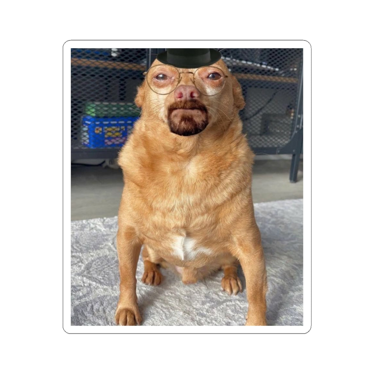 Walter dog sticker