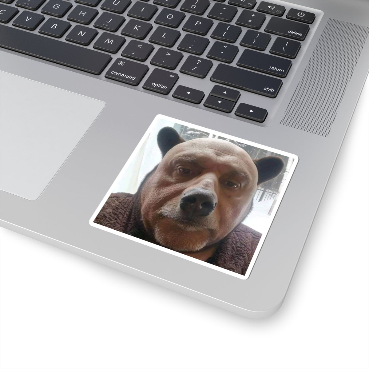 Cute bear