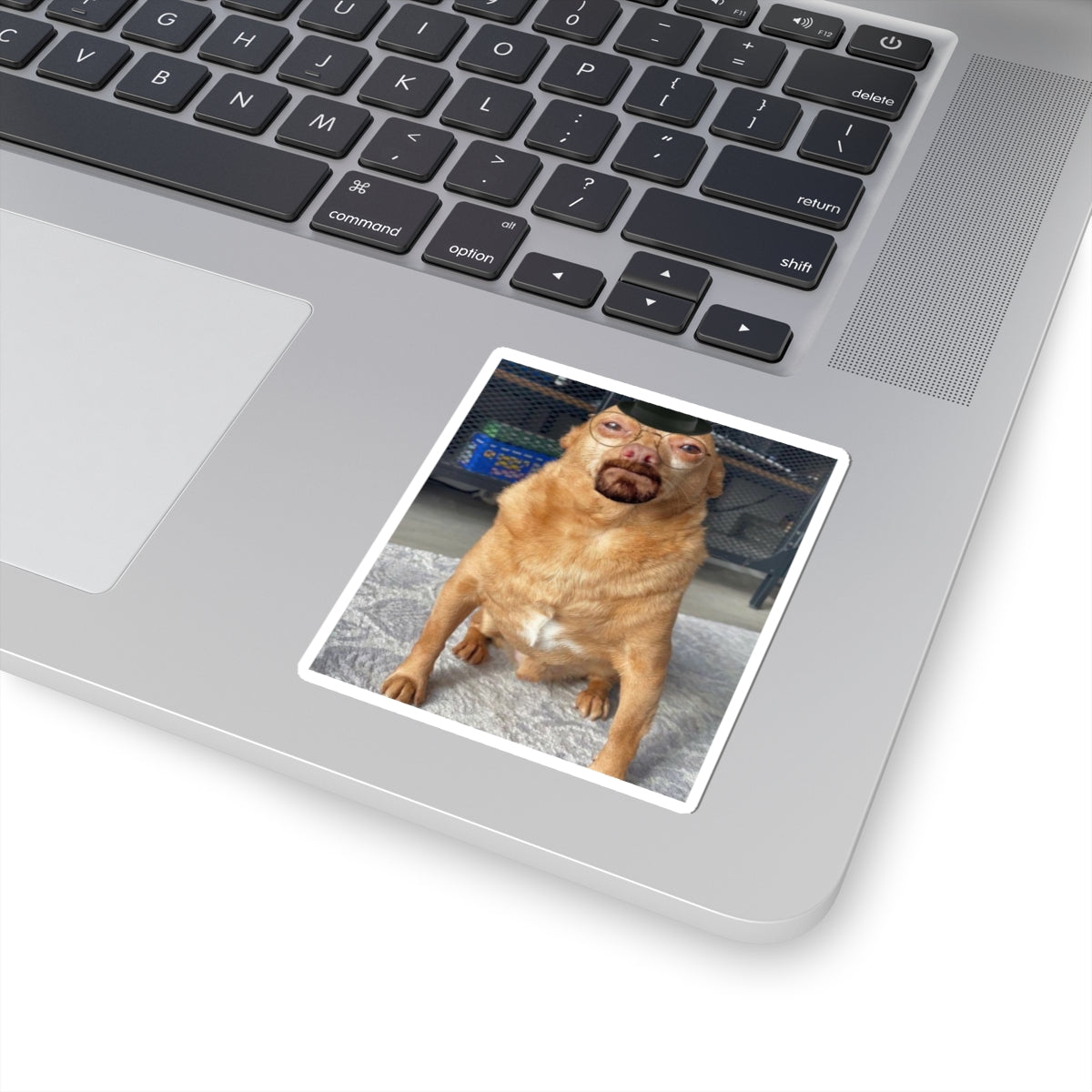 Walter dog sticker