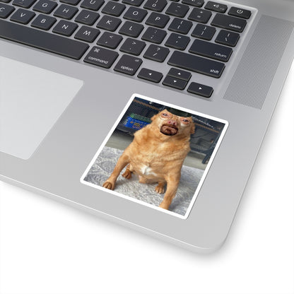 Walter dog sticker