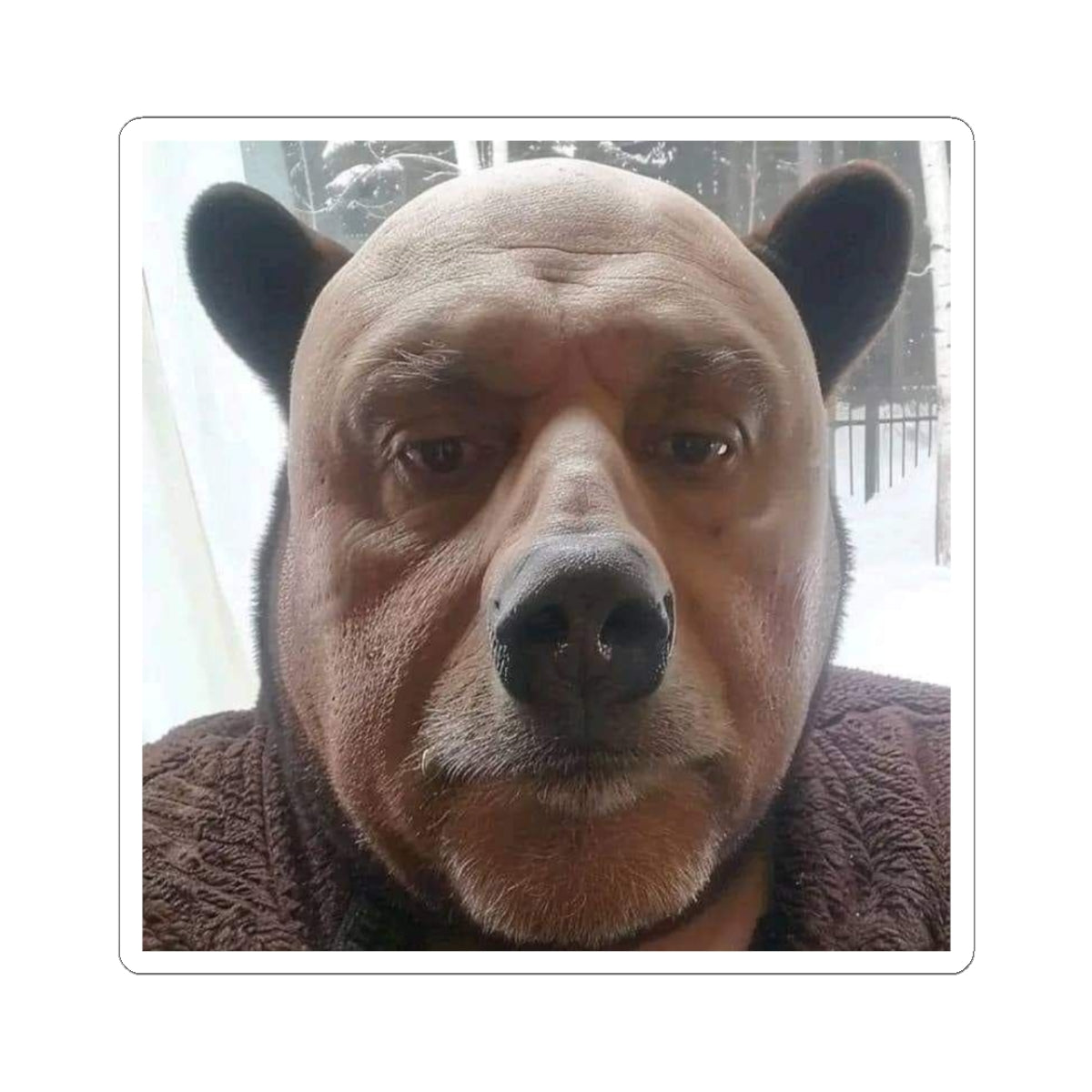 Cute bear