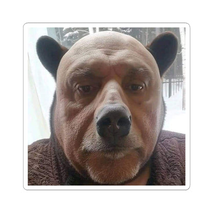 Cute bear