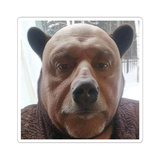 Cute bear