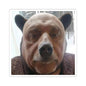 Cute bear
